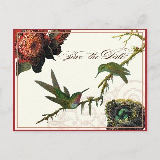 Red Protea Kolibries - Save the Date Briefkaart (Voorkant)
