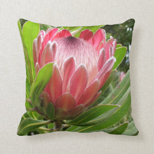 Red Protea Kussen