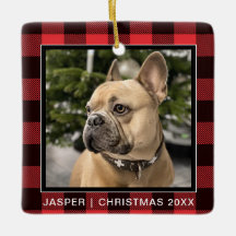 Red Pset| Familiehond Foto met kerst in Keepomwill