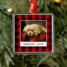 Red Pset Pet Photo Holiday
