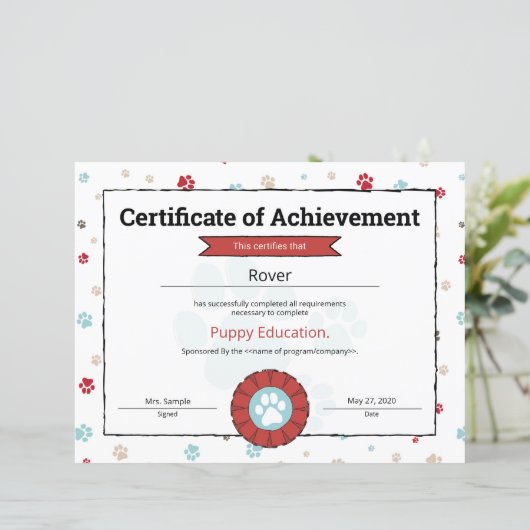 Red Puppy Program Pet Obedience School Pre Puppy (Staand voorkant)