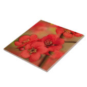 Red Quince Blossom Tegeltje (Zijkant)