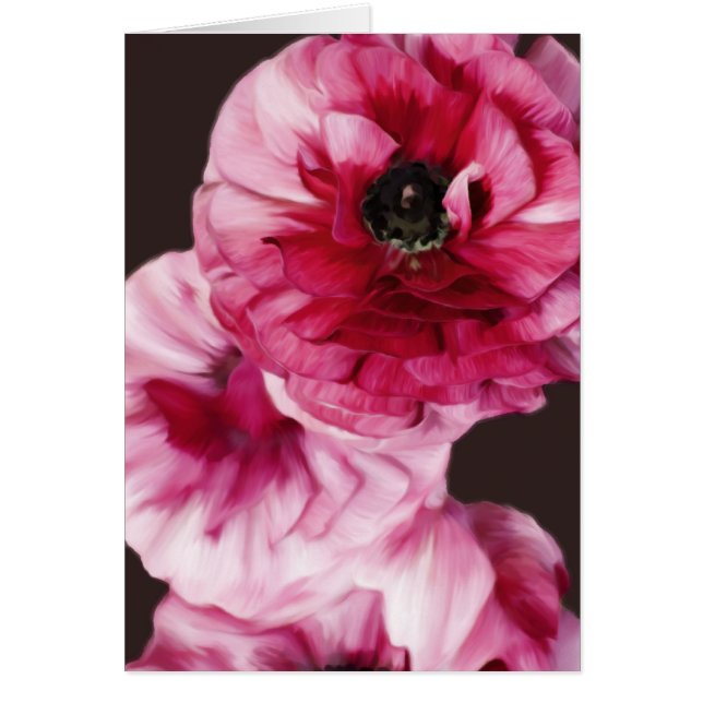 Red Ranunculus (Voorkant)