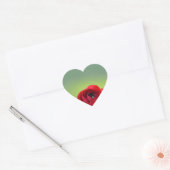 Red Ranunculus Blossom Hart Sticker (Envelop)