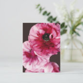 Red Ranunculus Briefkaart (Staand voorkant)
