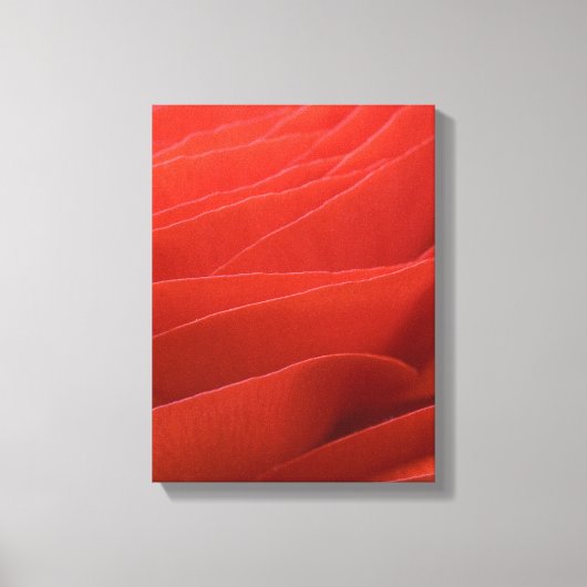 Red Ranunculus Flower Petals Canvas Afdruk (Voorkant)