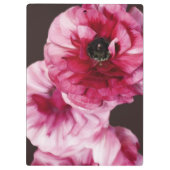 Red Ranunculus Klembord (Achterkant)