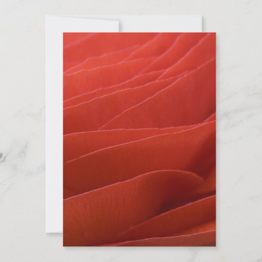 Red Ranunculus Petals Sweet 16 Birthday Party Kaart (Achterkant)