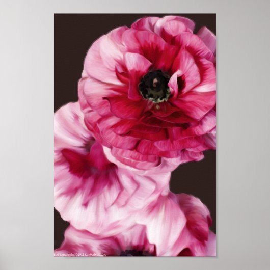 Red Ranunculus Poster (Voorkant)