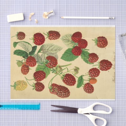 Red Raspberry Script Ephemera Decoupage Tissuepapier (Craft)