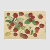 Red Raspberry Script Ephemera Decoupage Tissuepapier (Voorkant)