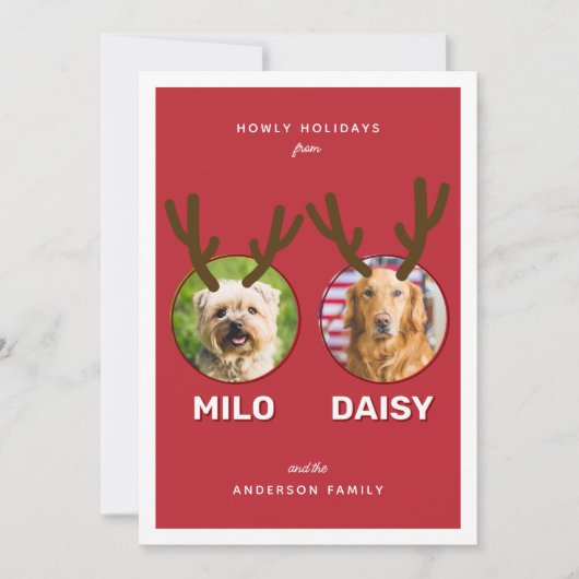 Red Reinpet 2 Foto Huisdier Kerstvakantie Kaart (Voorkant)