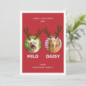 Red Reinpet 2 Foto Huisdier Kerstvakantie Kaart (Staand voorkant)