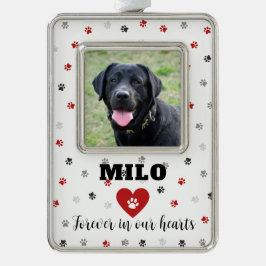 Red Remembrance Pet Loss Dog Foto Ornament