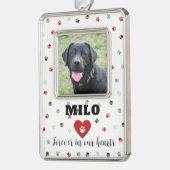 Red Remembrance Pet Loss Dog Foto Ornament (Links)