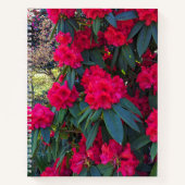 Red Rhododendron Blooms Floral Notitieboek (Voorkant)