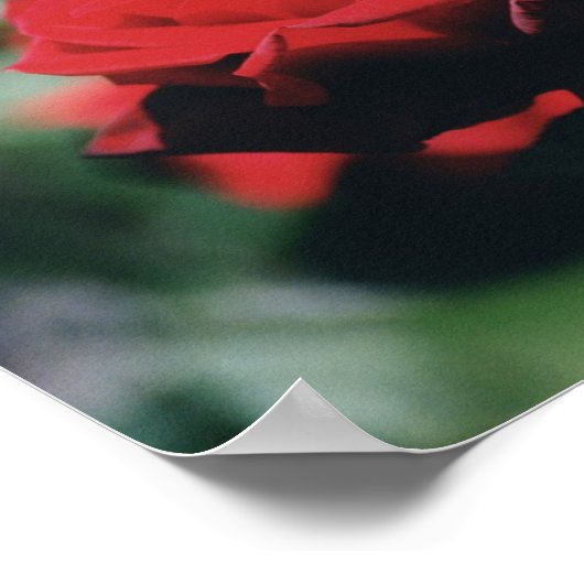 Red Rise Poster Print (Hoek)