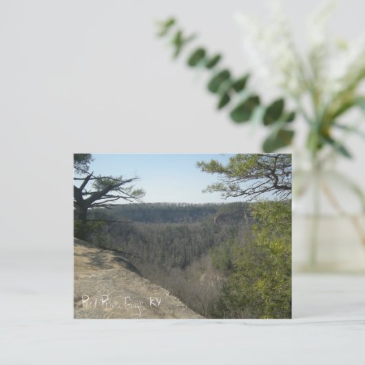 Red River Gorge, KY briefkaart (Staand voorkant)