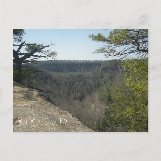 Red River Gorge, KY briefkaart (Voorkant)