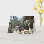 Red River Gorge, KY - Skybridge 2 kaarten (Gele Bloem)