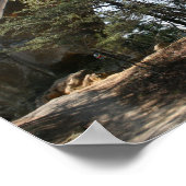 Red River Gorge, KY - Skybridge poster (Hoek)