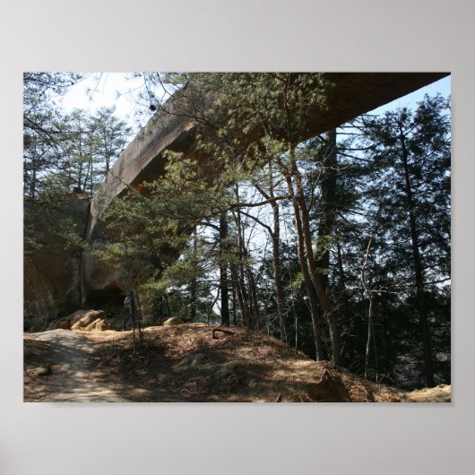 Red River Gorge, KY - Skybridge poster (Voorkant)