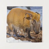 Red River Hog in de sneeuw Wandkleed (Voorkant)