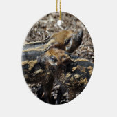 Red River Hog Ornament 2011 (Rechts)