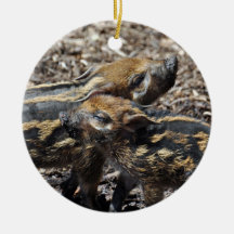 Red River Hog Ornament 2011