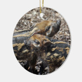 Red River Hog Ornament 2011 (Links)