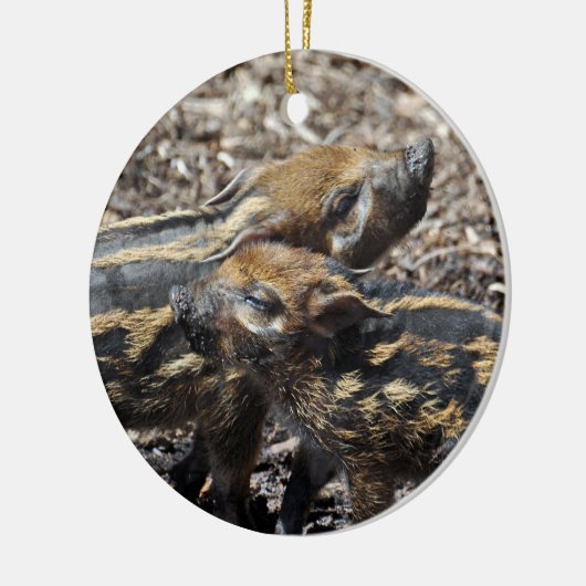 Red River Hog Ornament 2011 (Links)