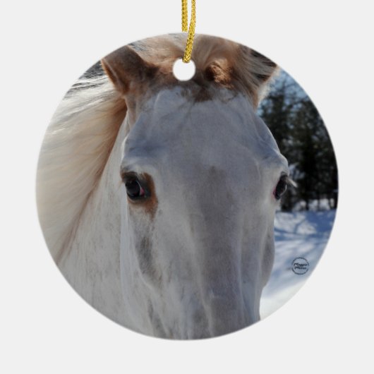 Red Roan Horse Eyes Keramisch Ornament (Voorkant)