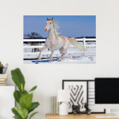 Red Roan in Snow Poster (Thuiskantoor)