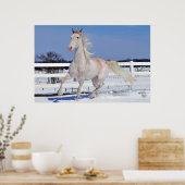Red Roan in Snow Poster (Keuken)