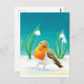 Red Robin Bird (Erithacus rubecula) & Snowdrops Briefkaart (Voorkant / Achterkant)
