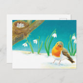 Red Robin Bird & sneeuwdrops Illustratie Briefkaart (Voorkant / Achterkant)