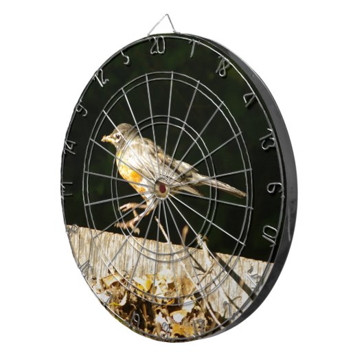 Red Robin Bobbin Dartbord (Voorkant Rechts)