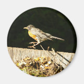 Red Robin Bobbin Magneet (Voorkant)