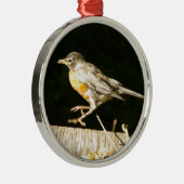 Red Robin Bobbin Metalen Ornament (Rechts)