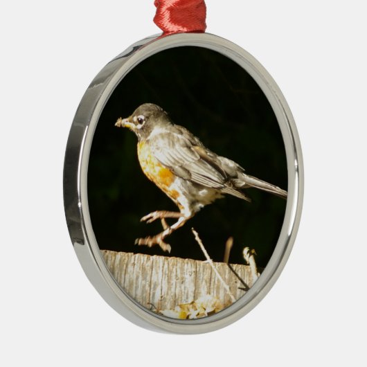 Red Robin Bobbin Metalen Ornament (Rechts)