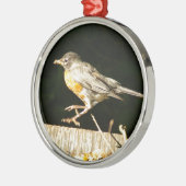 Red Robin Bobbin Metalen Ornament (Links)