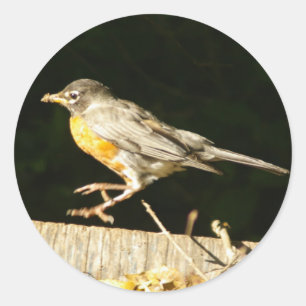 Red Robin Bobbin Ronde Sticker
