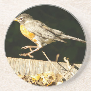 Red Robin Bobbin Zandsteen Onderzetter