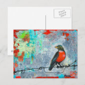 Red Robin Briefkaart (Voorkant / Achterkant)