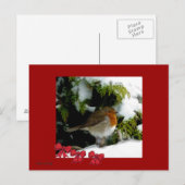 Red Robin Briefkaart (Voorkant / Achterkant)