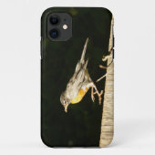 Red Robin Case-Mate iPhone Case (Achterkant)