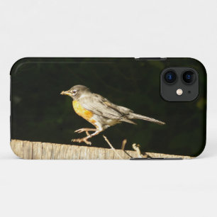 Red Robin Case-Mate iPhone Case
