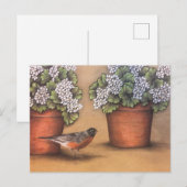 Red Robin en White Geraniums Briefkaart (Voorkant / Achterkant)