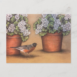 Red Robin en White Geraniums Briefkaart
