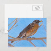 Red Robin Fine Art Natuur Briefkaart (Voorkant / Achterkant)